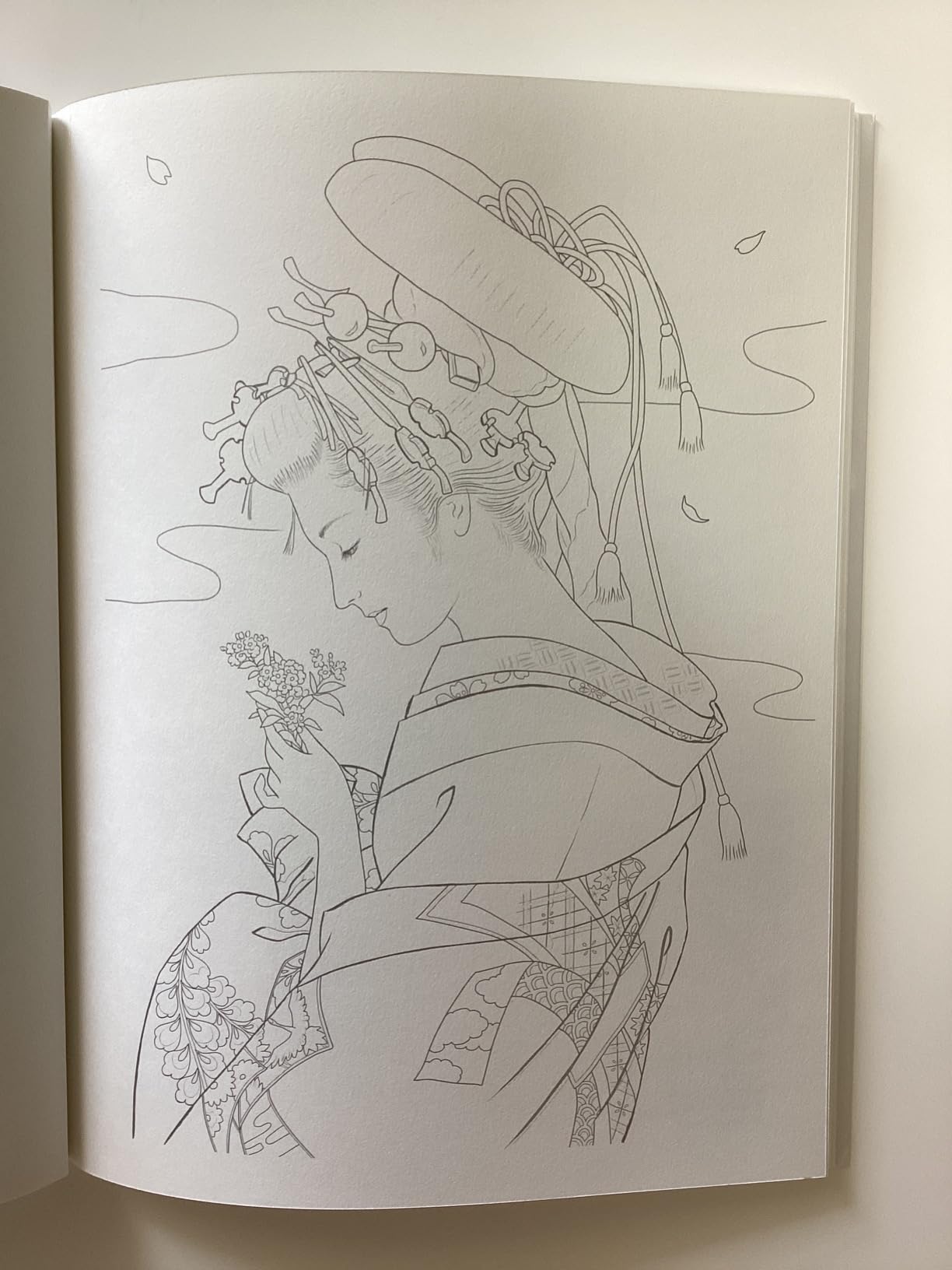 Adult Sketch Coloring Book: Beauty Paintings by Haruyo Morita