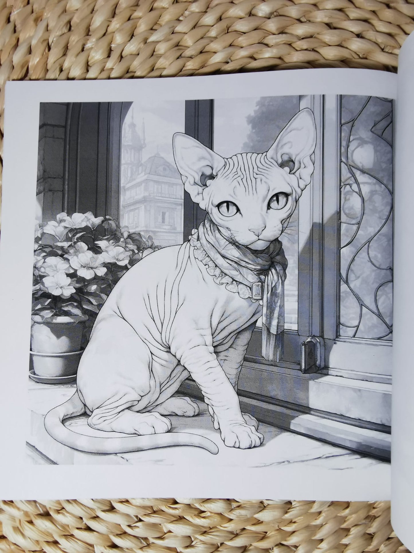 Adult Sketch Colouring Book: Cats and Flowers - Colour Mindlessly and Refresh
