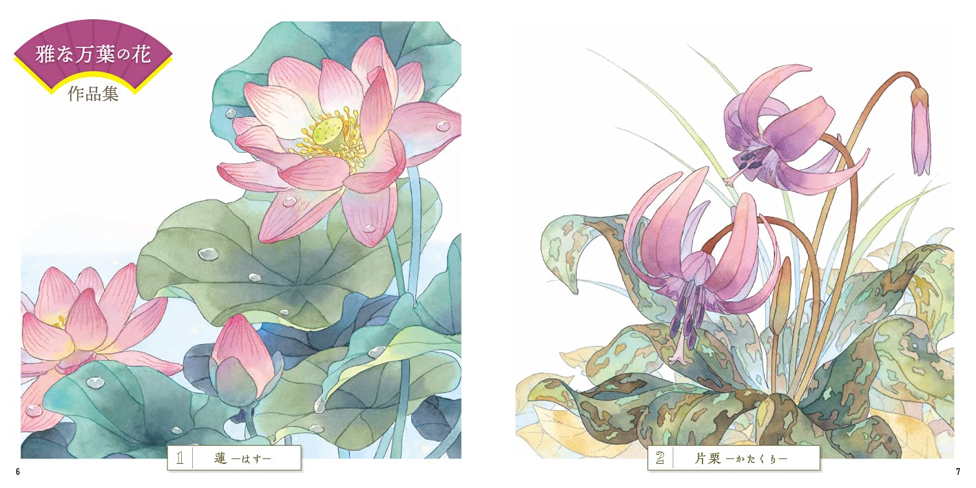 Adult Sketch Colouring Book Botany Ancient Flowers of the Manyoshu
