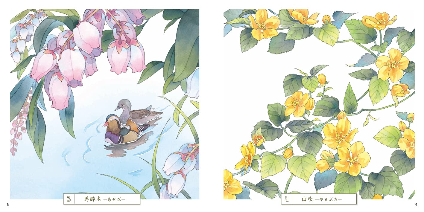Adult Sketch Colouring Book Botany Ancient Flowers of the Manyoshu