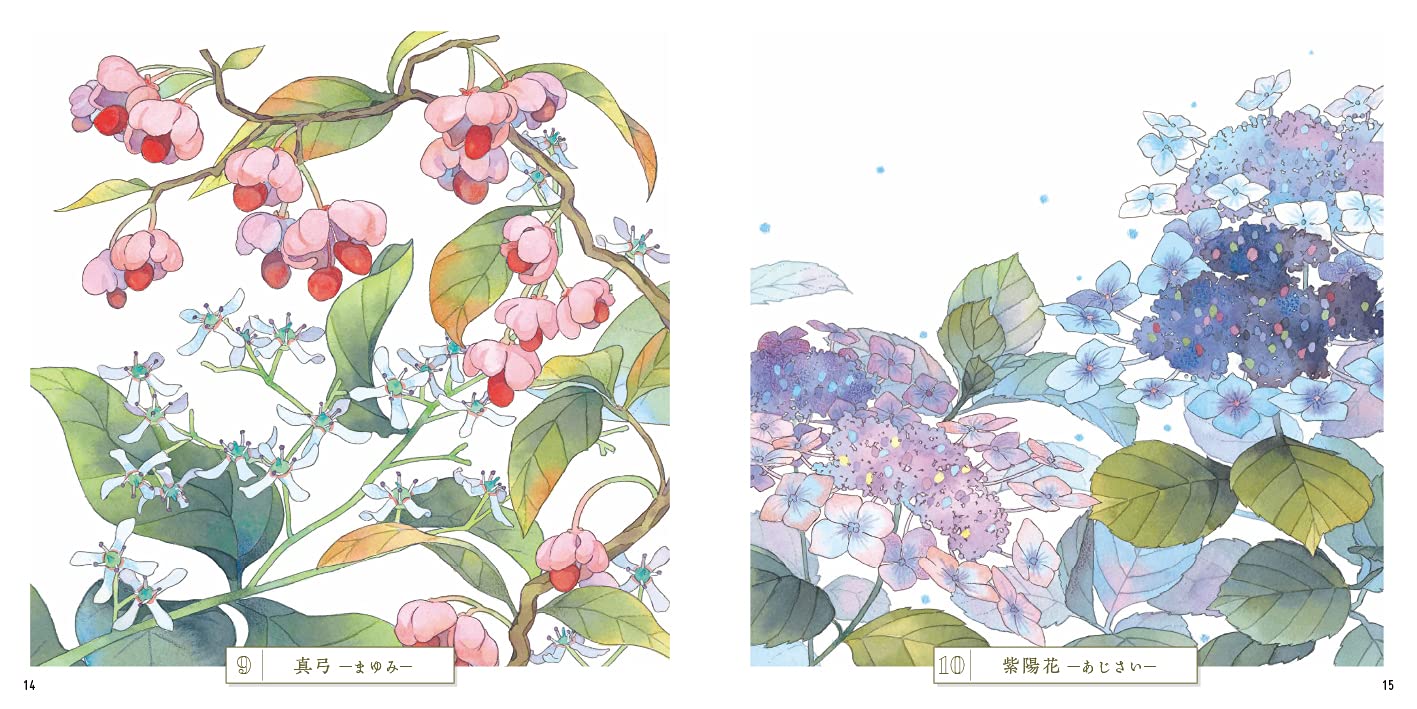 Adult Sketch Colouring Book Botany Ancient Flowers of the Manyoshu