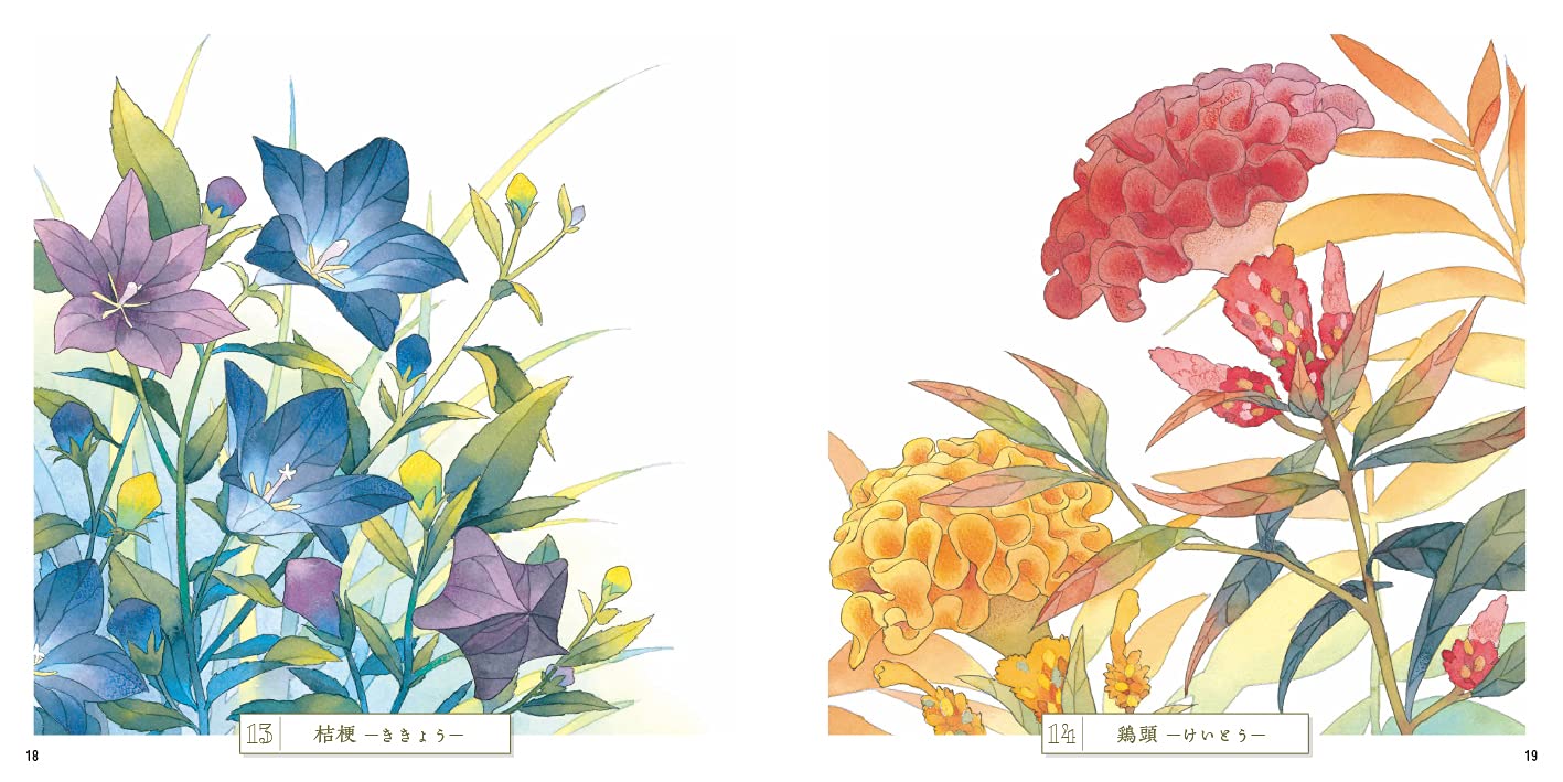 Adult Sketch Colouring Book Botany Ancient Flowers of the Manyoshu
