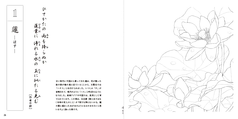Adult Sketch Colouring Book Botany Ancient Flowers of the Manyoshu