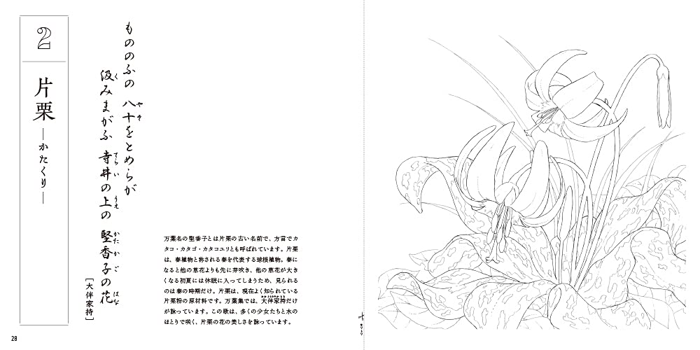 Adult Sketch Colouring Book Botany Ancient Flowers of the Manyoshu