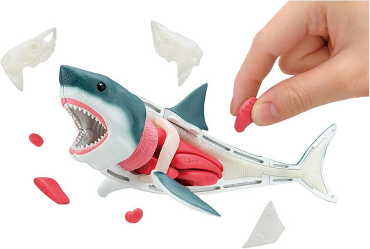 BANDAI NAMCO Megahouse Japanese Study Toy Great White Shark 3D Puzzle