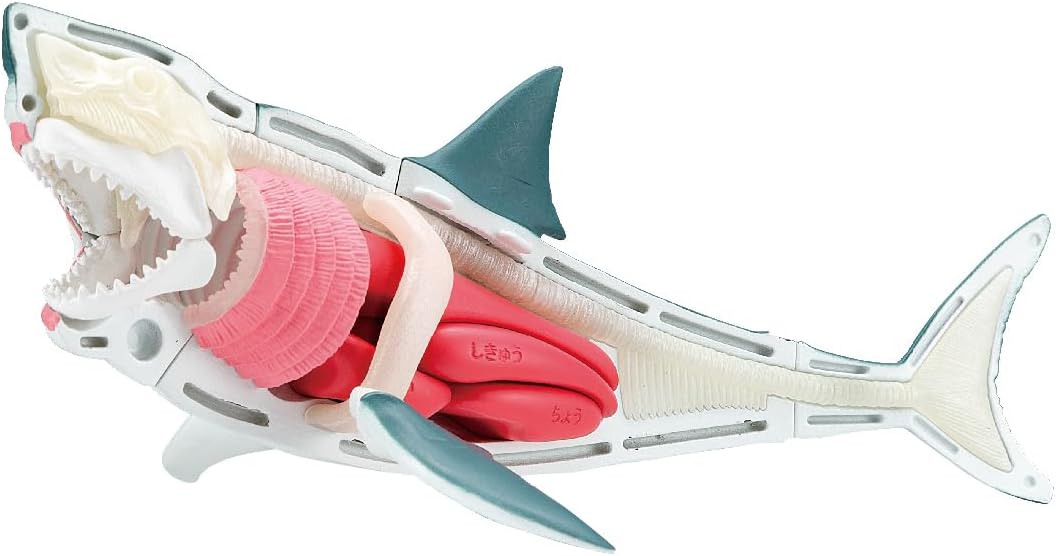 BANDAI NAMCO Megahouse Japanese Study Toy Great White Shark 3D Puzzle
