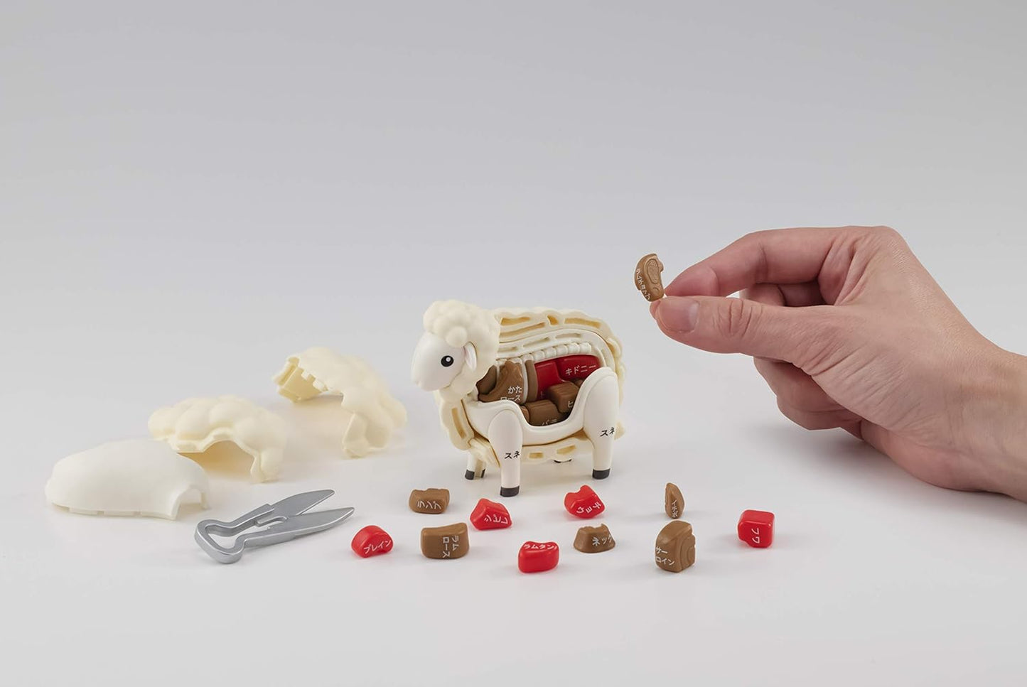BANDAI NAMCO Megahouse Japanese Study Lamb Genghis Khan Pig 3D Puzzle