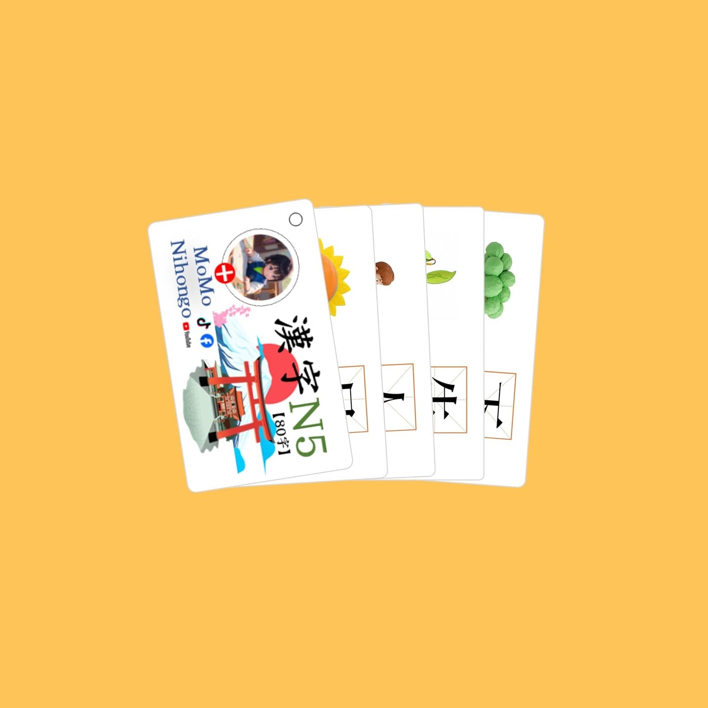 MoMo Nihongo Japanese Kanji 80 Flashcards JLPT N5 Beginners English Translation