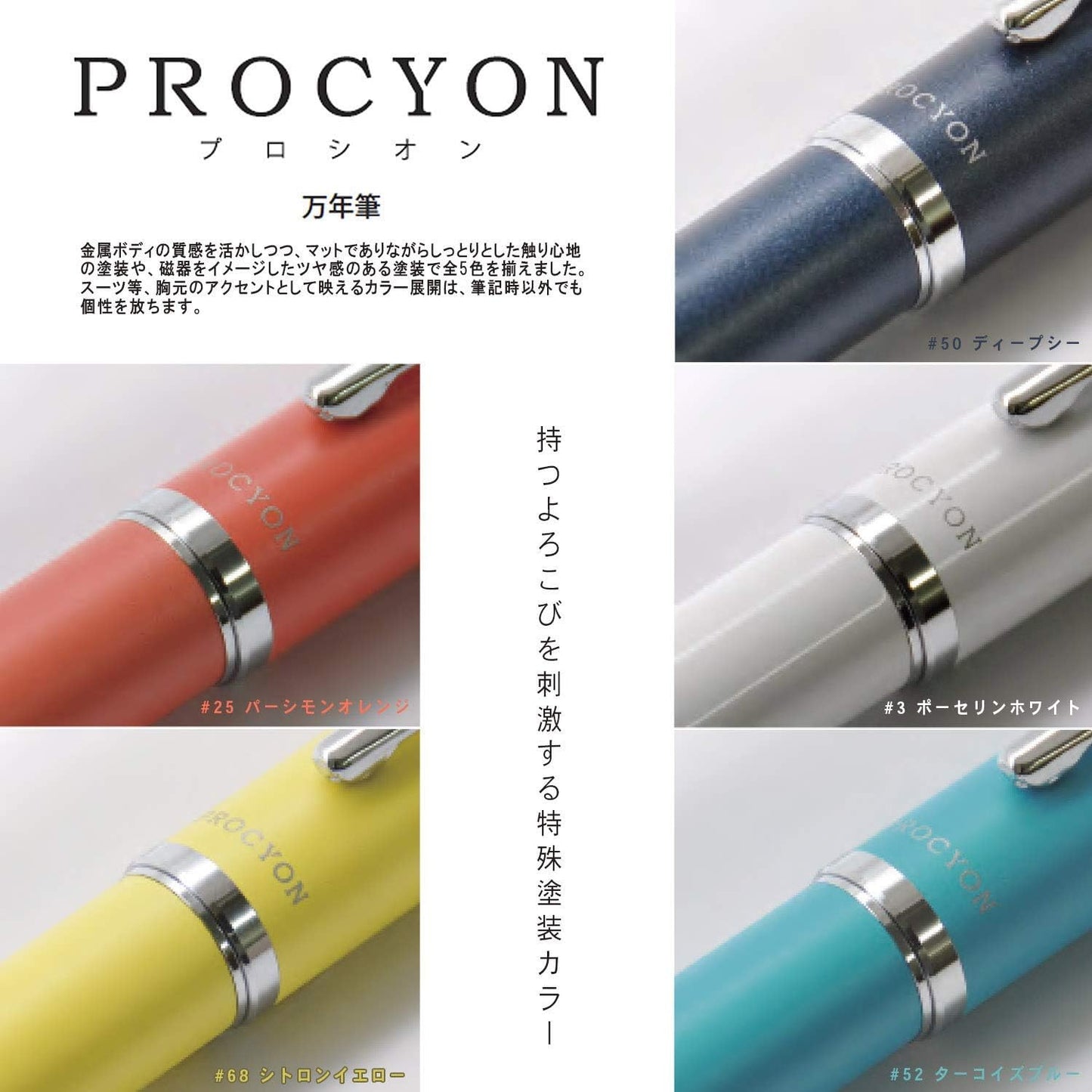 Platinum Procyon Fountain Pen Deep Sea Medium Nib PNS-5000#50-3