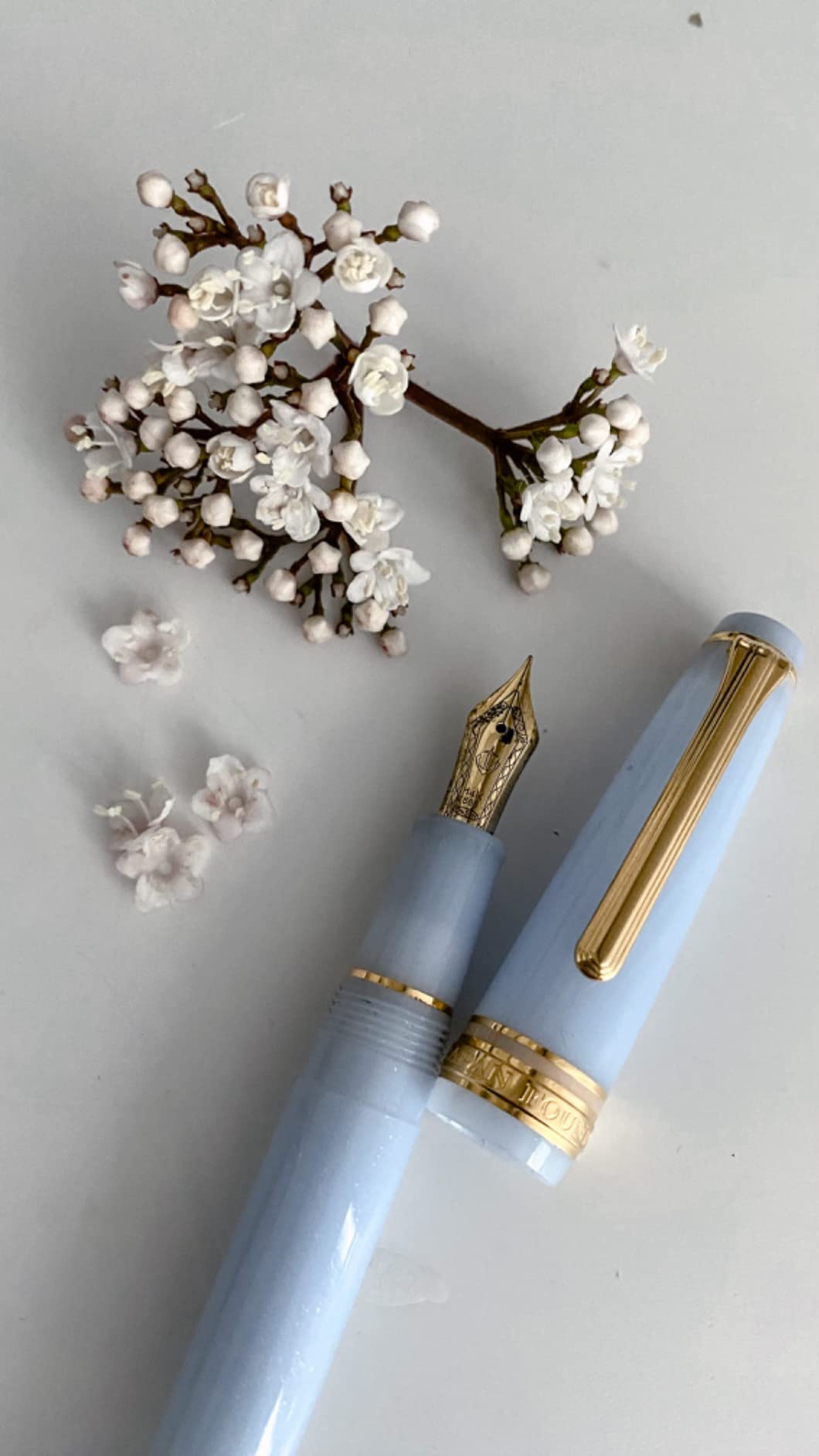 Sailor Professional Shiriori Fairy Tale Grateful Crane Sky Blue Fountain Pen Medium Fine Nib 11-1227-304