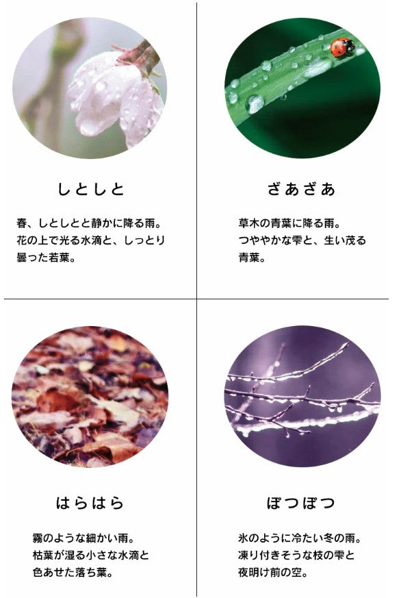 Sailor Professional PGS Shikiori Amaoto Kirisame Drizzle Fountain Pen Lavender 21K Gold Medium Fine Nib 11-3059-303
