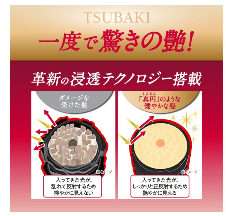 TSUBAKI Premium Moist Gloss Treatment Conditioner 490ml