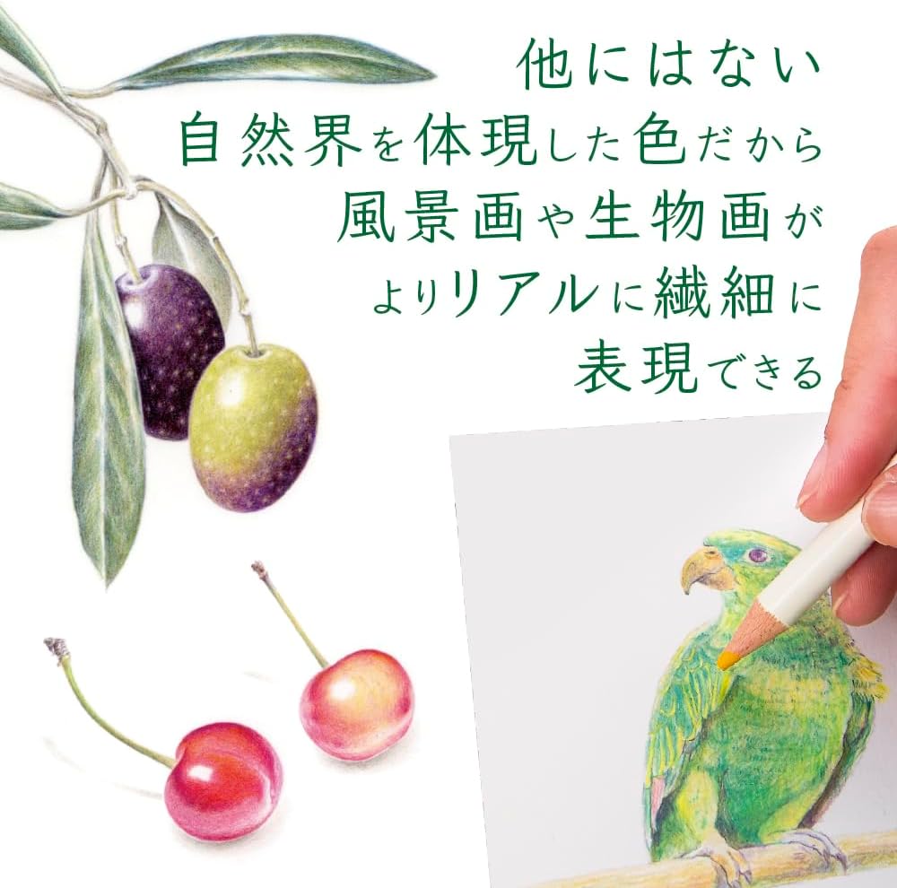 Tombow Pencil Colored Pencil NQ 30 Color Pencils IROJITEN CI-RP11 from