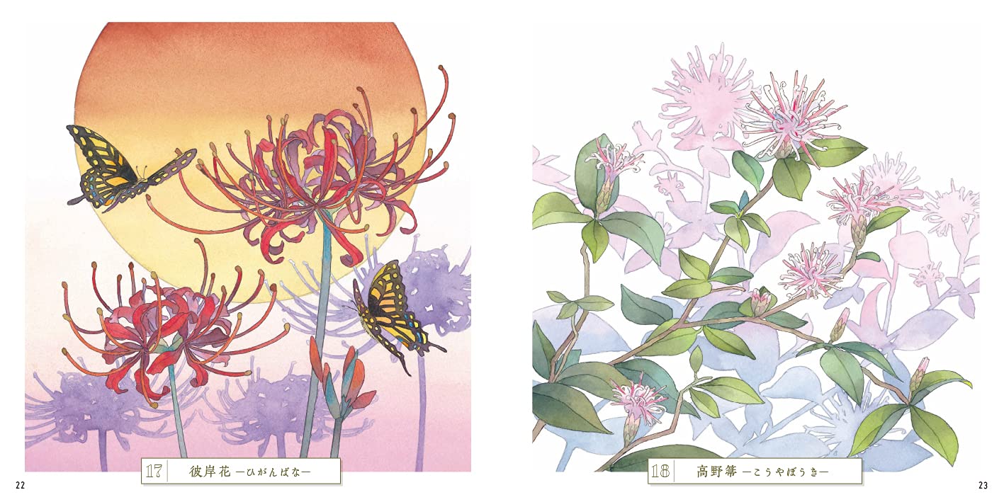 Adult Sketch Colouring Book Botany Ancient Flowers of the Manyoshu