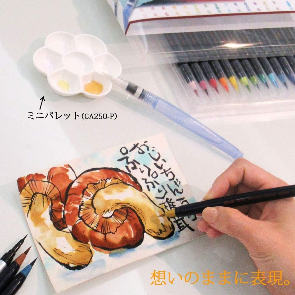 Akashiya SAI High Quality 15 Watercolour Brush Pen Set CA350S-03