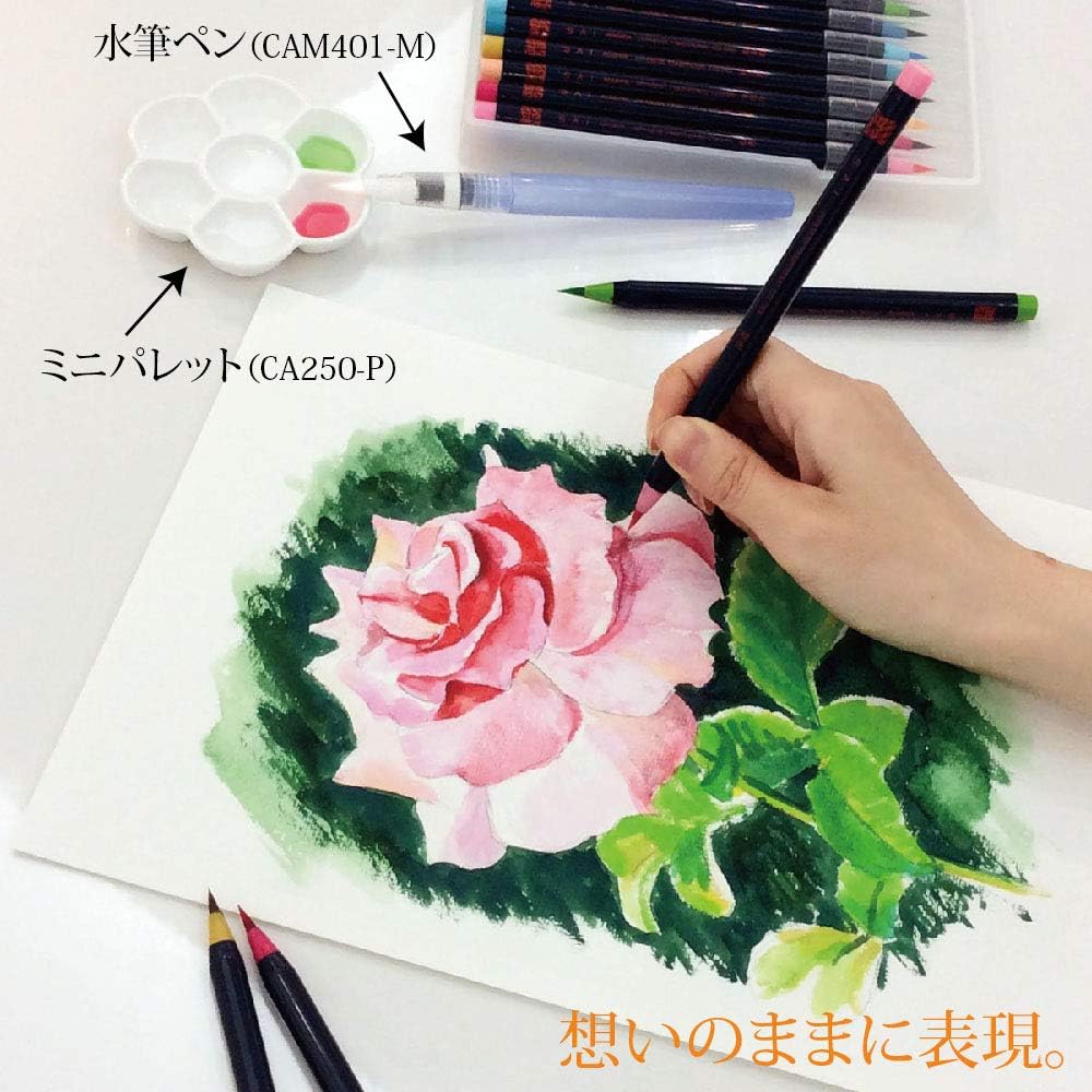 Akashiya SAI Japanese Traditional 20 Set of Brush Pens Watercolour