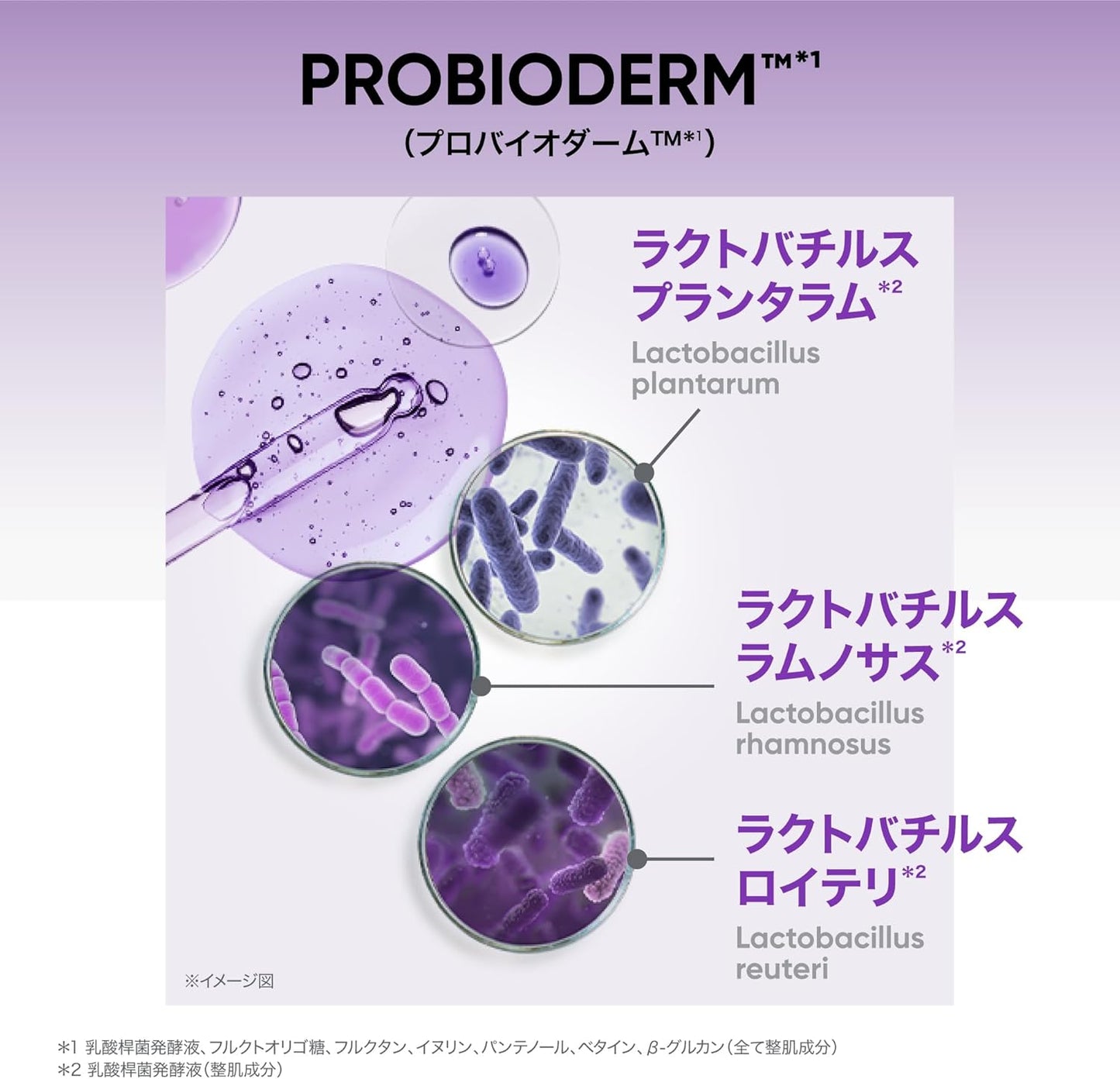 BioHeal Boh Probioderm Collagen Remodeling Cream 50ml (1.7 oz) for Smooth Skin K-Beauty