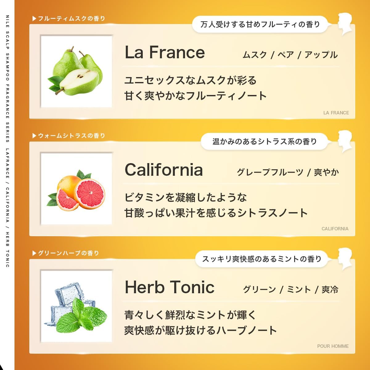 NILE Men's Hair Care Scalp Shampoo Dense Foam Amino-Acid 300ml