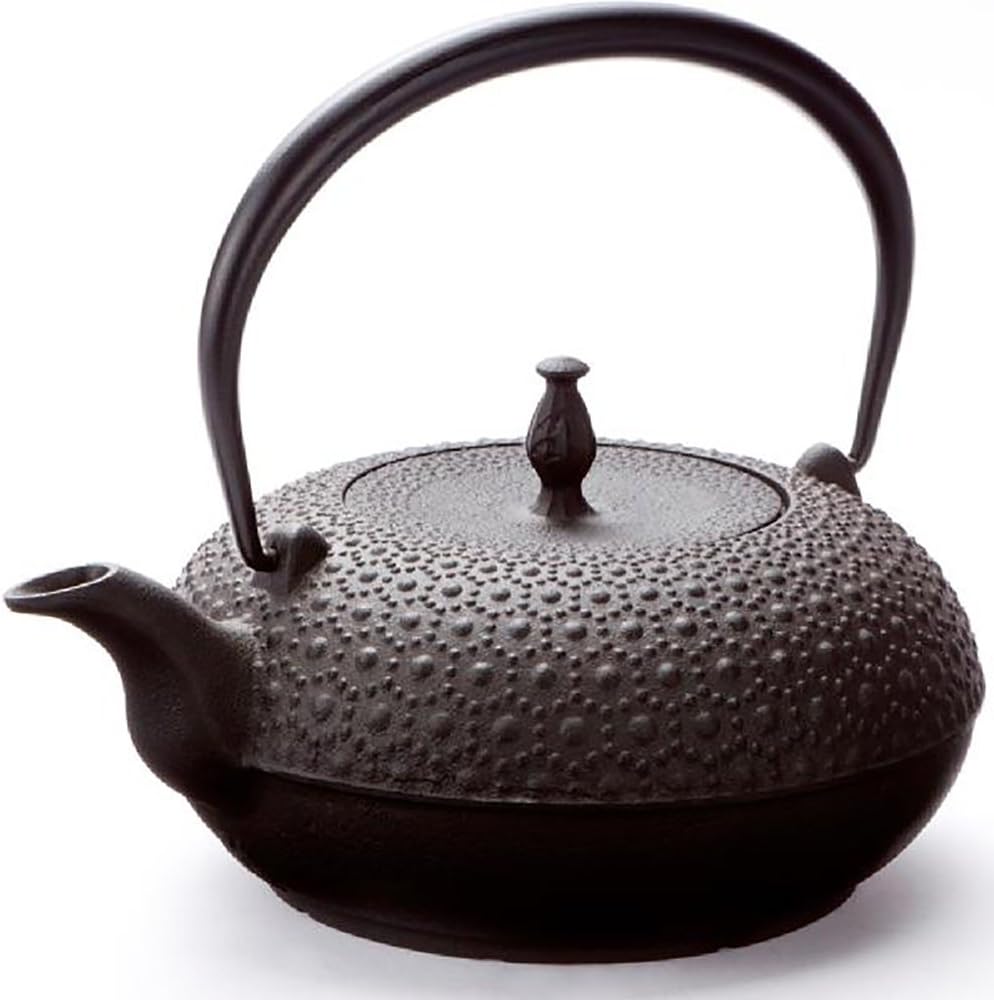 Oigen H-200 Nanbu Ironware Iron Tetsubin Shinonome Turtle Shell IH Compatible