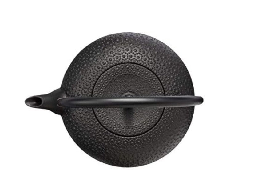 Oigen H-200 Nanbu Ironware Iron Tetsubin Shinonome Turtle Shell IH Compatible