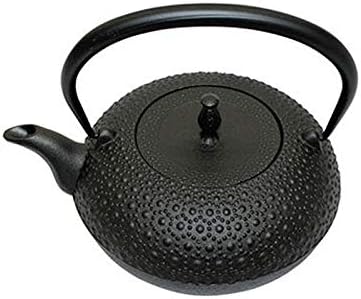 Oigen H-200 Nanbu Ironware Iron Tetsubin Shinonome Turtle Shell IH Compatible