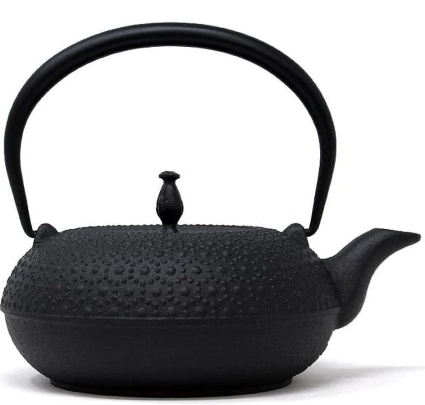 Oigen H-200 Nanbu Ironware Iron Tetsubin Shinonome Turtle Shell IH Compatible