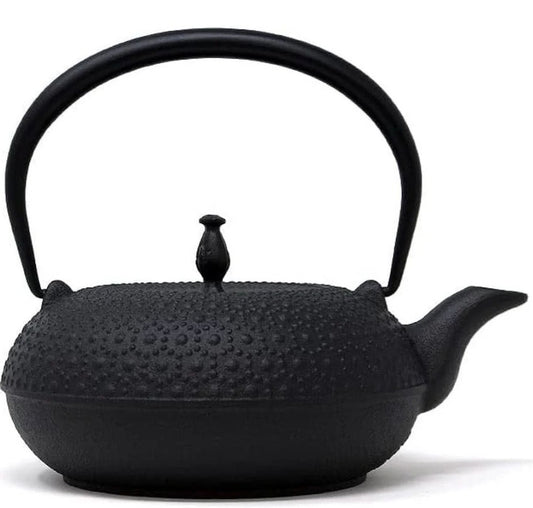 Oigen H-200 Nanbu Ironware Iron Tetsubin Shinonome Turtle Shell IH Compatible