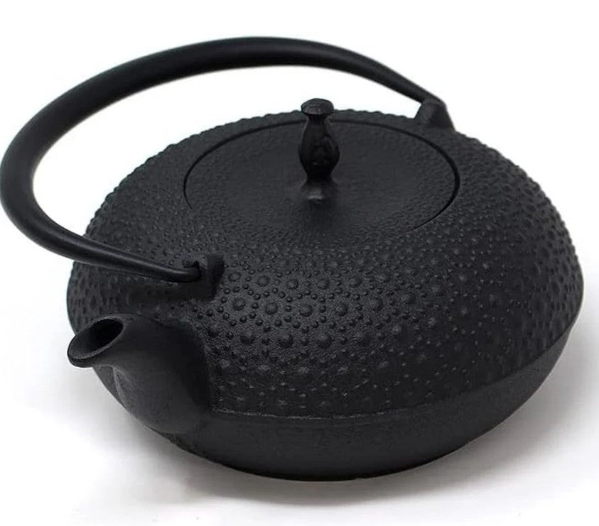 Oigen H-200 Nanbu Ironware Iron Tetsubin Shinonome Turtle Shell IH Compatible