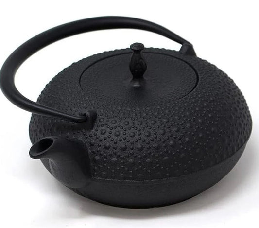 Oigen H-200 Nanbu Ironware Iron Tetsubin Shinonome Turtle Shell IH Compatible