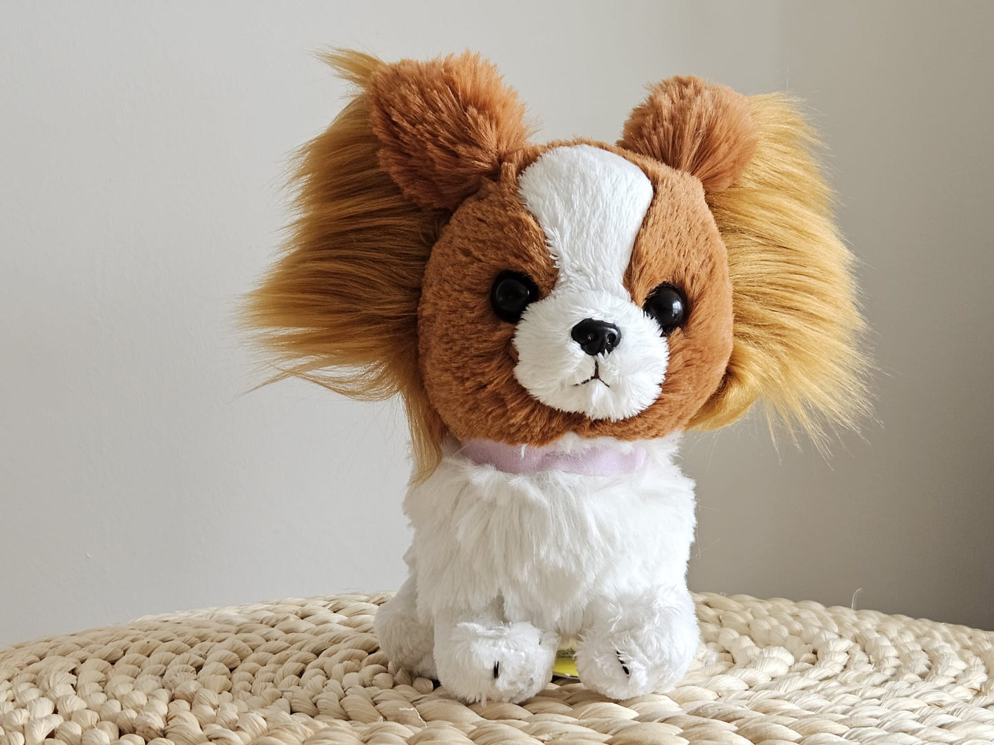 Sun Lemon Adorable stuffed Toy Papillon White & Brown Small
