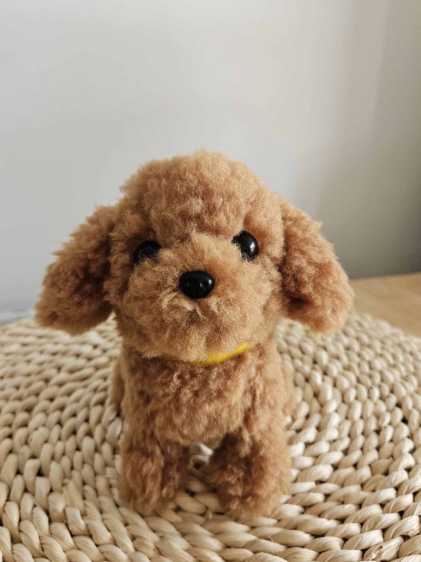 Sun Lemon Adorable stuffed Toy Poodle Brown Small